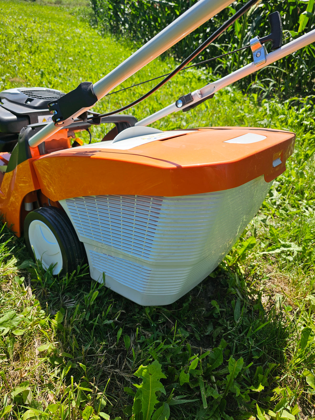 STIHL Rasenmäher RM 443.1