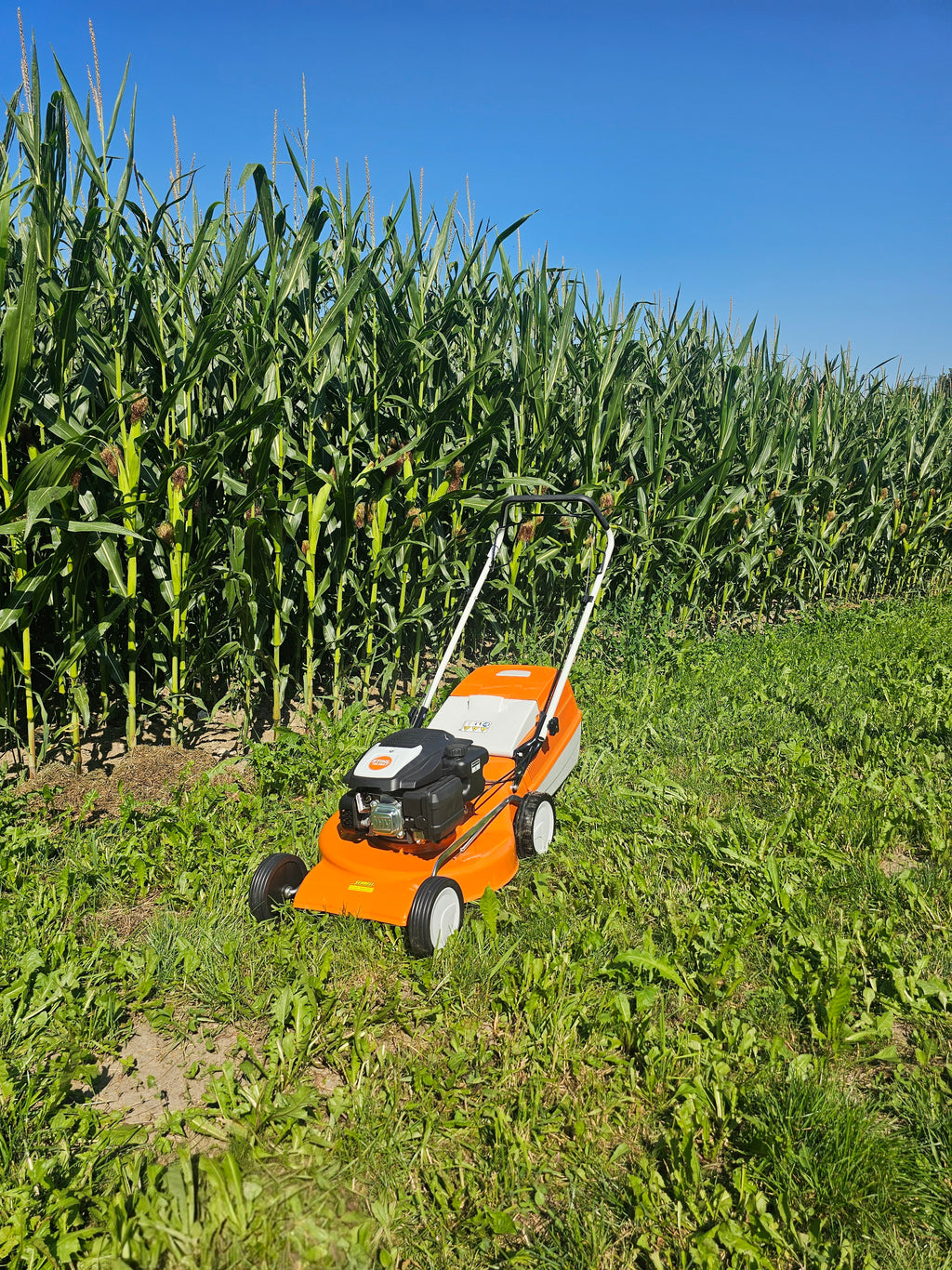STIHL Rasenmäher RM 253.2 T