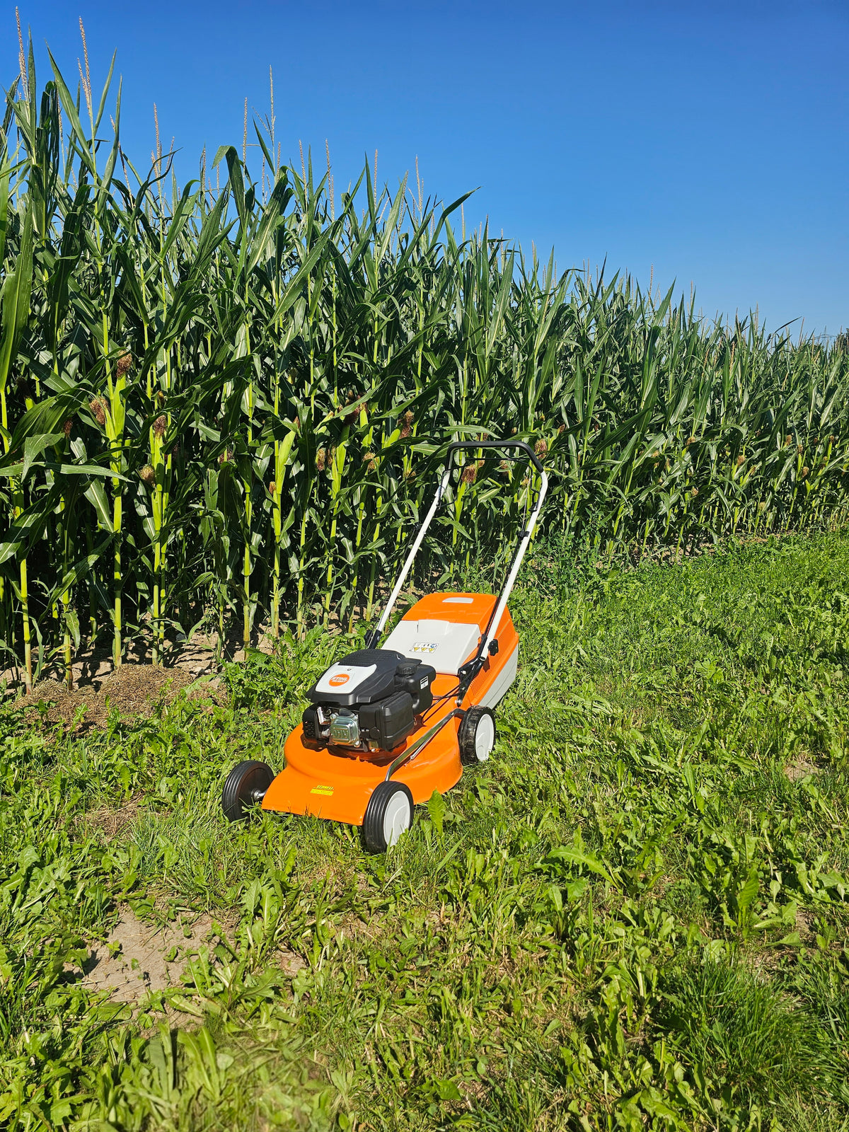 STIHL Rasenmäher RM 253.2 T