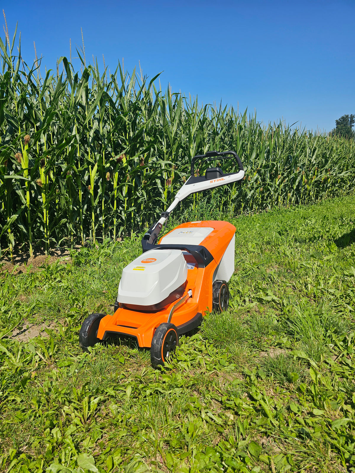 STIHL Akku-Rasenmäher RMA 443 PV Set